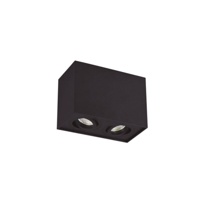 Apliqué Cielo Abatible Negro 2*Gu10